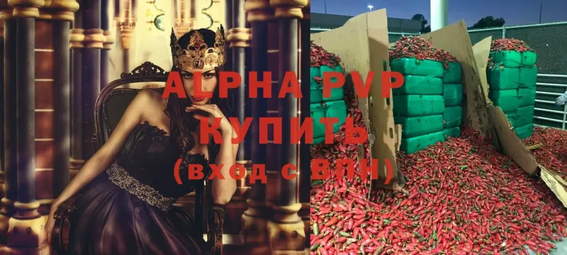 A PVP СК КРИС  Пенза 